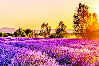 行程標題行程標題行程標題行程
標題行程標題行程標題