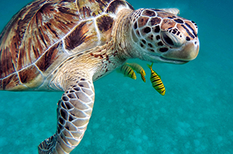 行程標題行程標題行程標題行程
標題行程標題行程標題